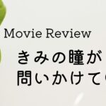 映画・きみの瞳が問いかけている